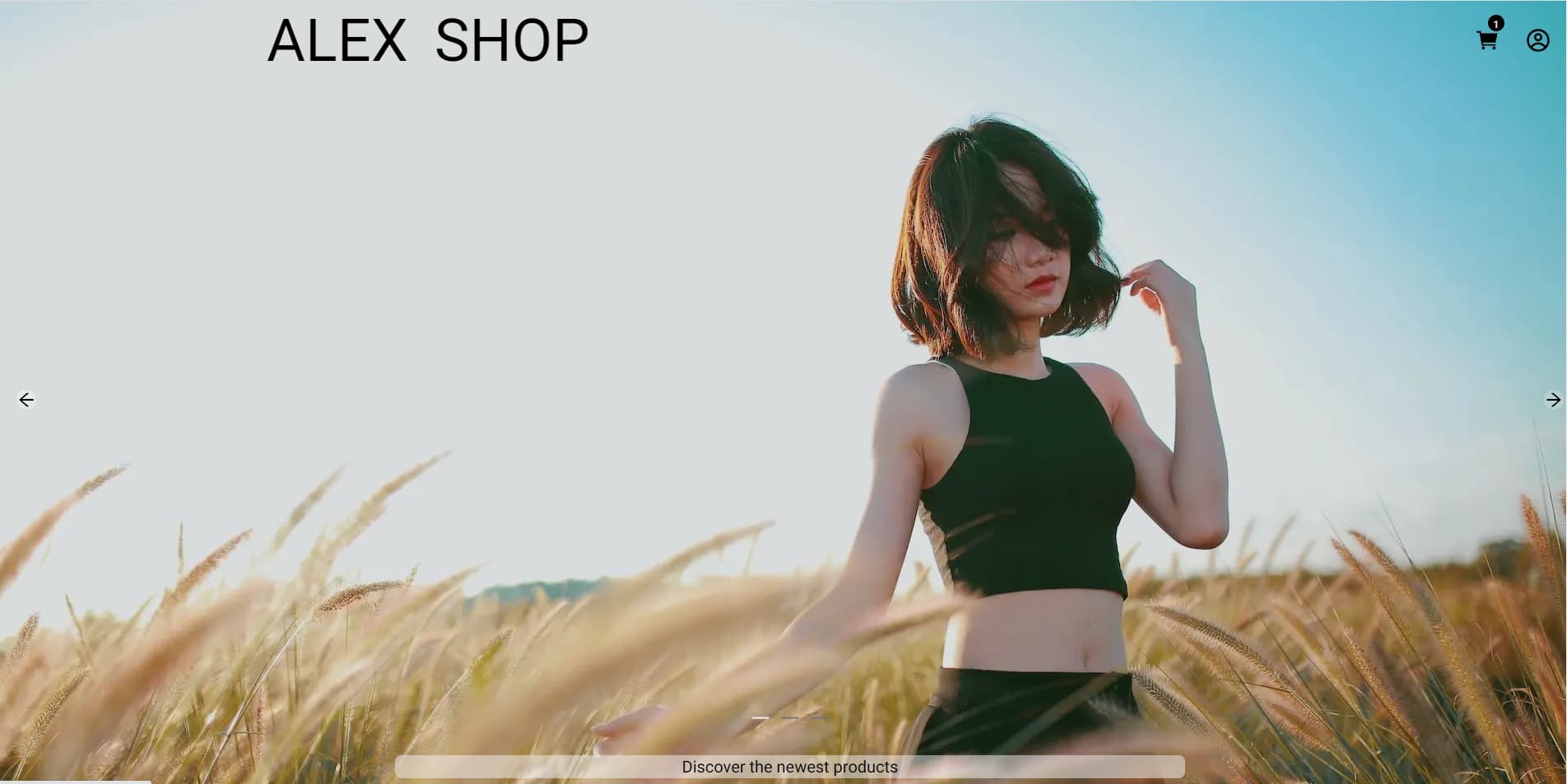 Alex Shop - Site ecommerce